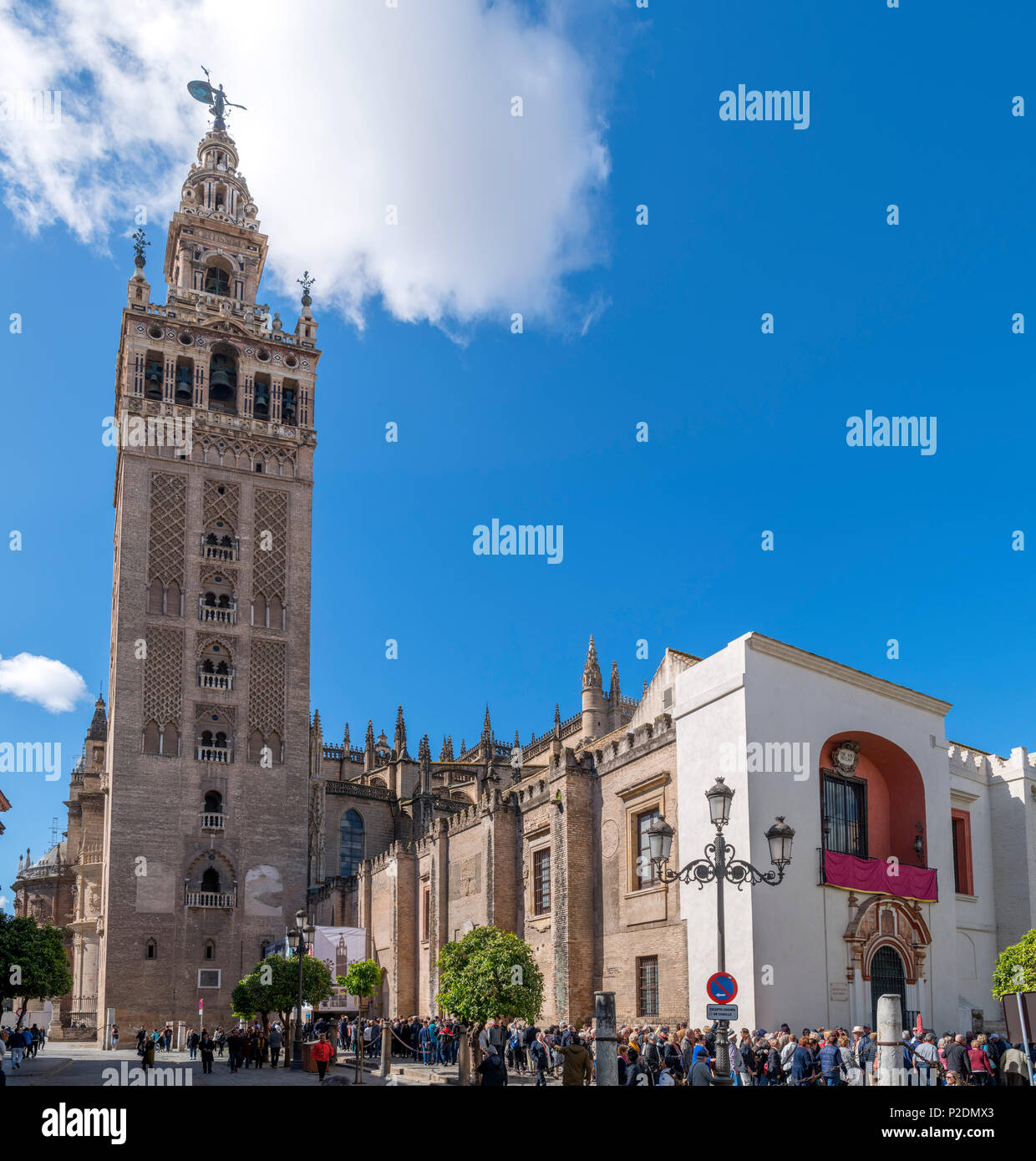 I turisti in coda al di fuori la torre Giralda e la Cattedrale di Siviglia ( Sevilla ), Andalusia, Spagna Foto Stock