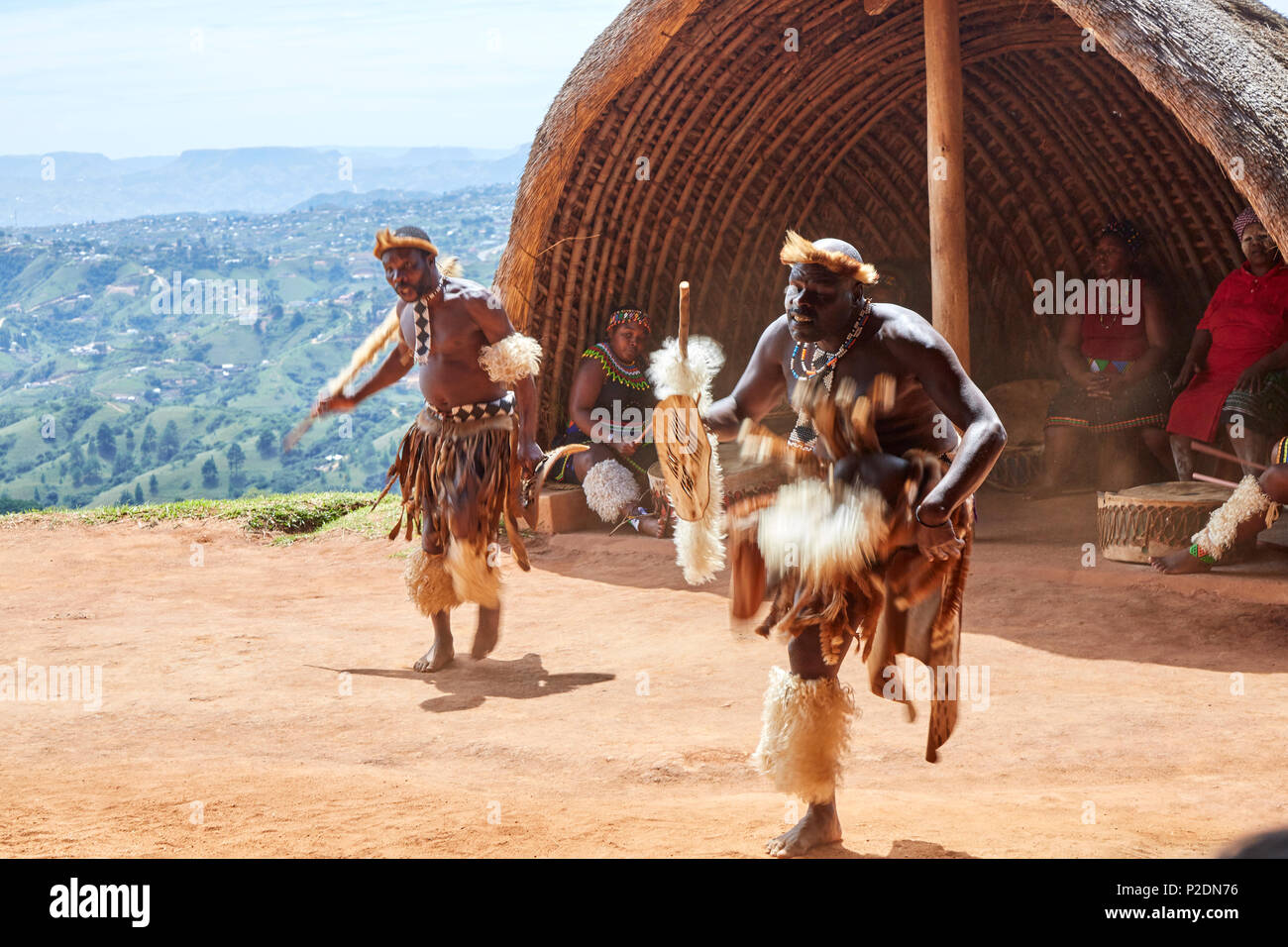 Ballerini Zulu effettuando al PheZulu villaggio culturale nella provincia di KwaZulu-Natal Foto Stock