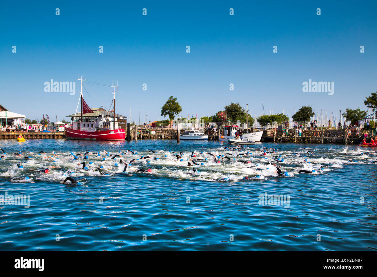 La gente di nuoto nel porto, triathlon, Heiligenhafen, costa baltica, Schleswig-Holstein, Germania Foto Stock