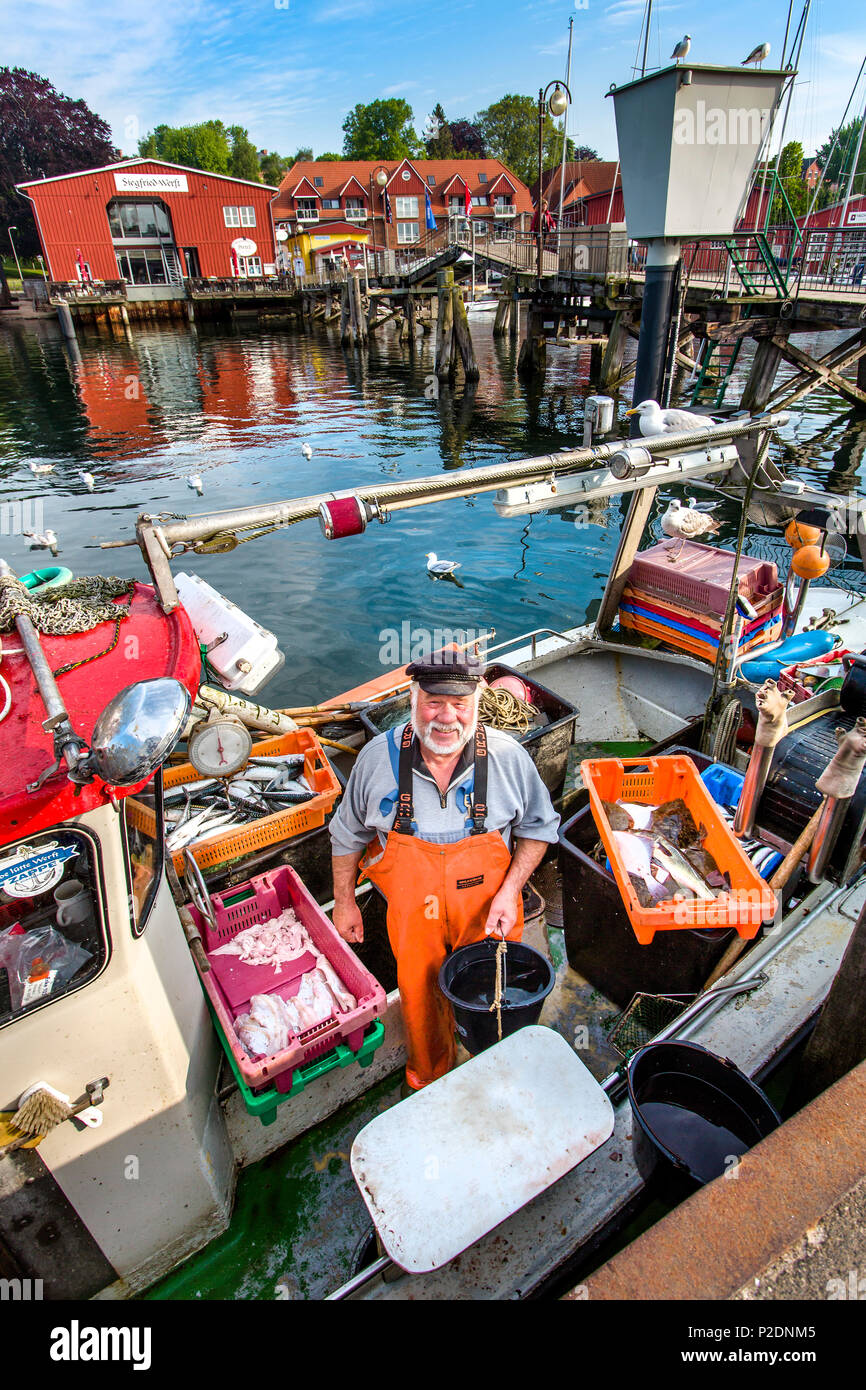 Pescatore di vendita del pesce dalla barca, Eckernfoerde, costa baltica, Rendsburg-Eckernfeorde, Schleswig-Holstein, Germania Foto Stock