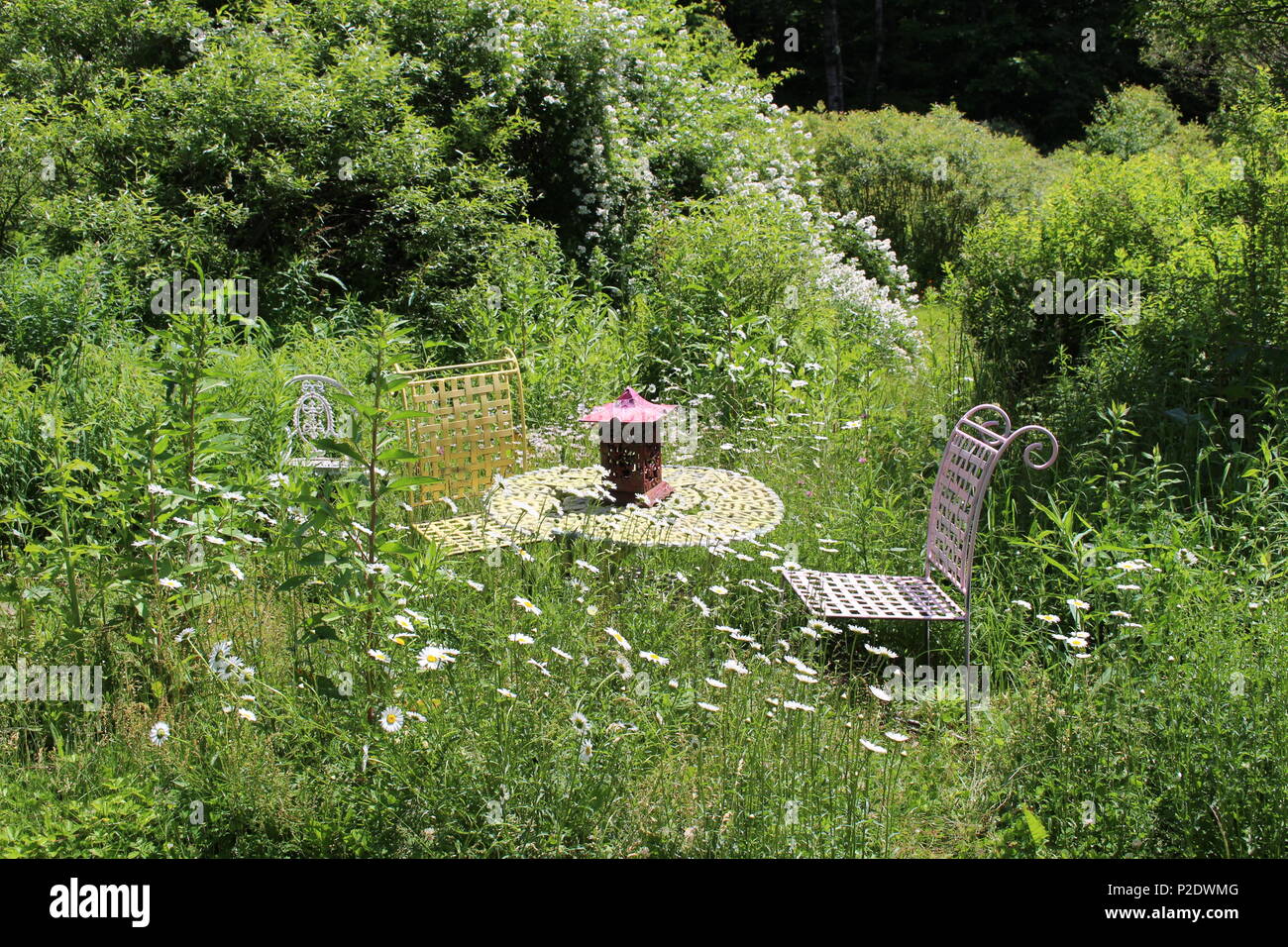 A metà pomeriggio un tavolo per due in un campo estivo di margherite con tavolo e due sedie francesi Foto Stock