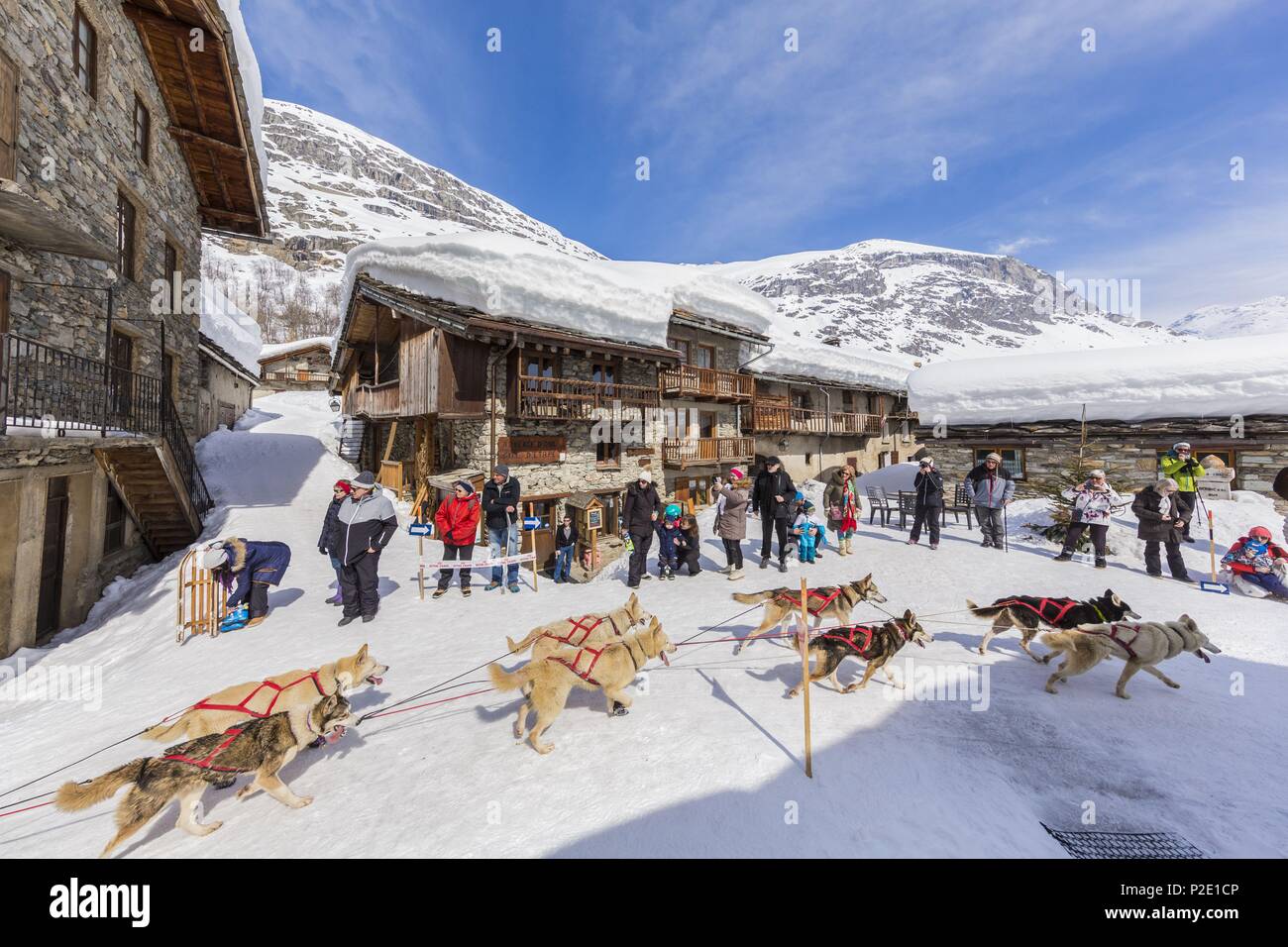 Francia, Savoie, Parco Nazionale della Vanoise, Bonneval sur Arc, etichettati Les Plus Beaux Villages de France (i più bei villaggi di Francia), il villaggio più alto della Haute Maurienne (1850 m), la razza di cani di sled il Lekkarod Foto Stock