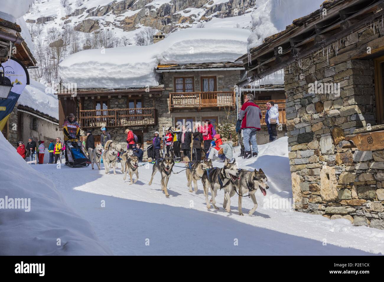 Francia, Savoie, Parco Nazionale della Vanoise, Bonneval sur Arc, etichettati Les Plus Beaux Villages de France (i più bei villaggi di Francia), il villaggio più alto della Haute Maurienne (1850 m), la razza di cani di sled il Lekkarod Foto Stock
