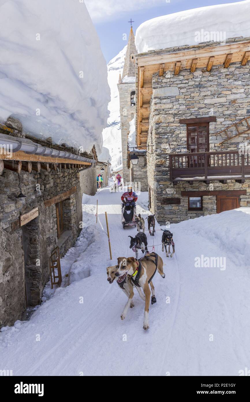 Francia, Savoie, Parco Nazionale della Vanoise, Bonneval sur Arc, etichettati Les Plus Beaux Villages de France (i più bei villaggi di Francia), il villaggio più alto della Haute Maurienne (1850 m), la razza di cani di sled il Lekkarod Foto Stock