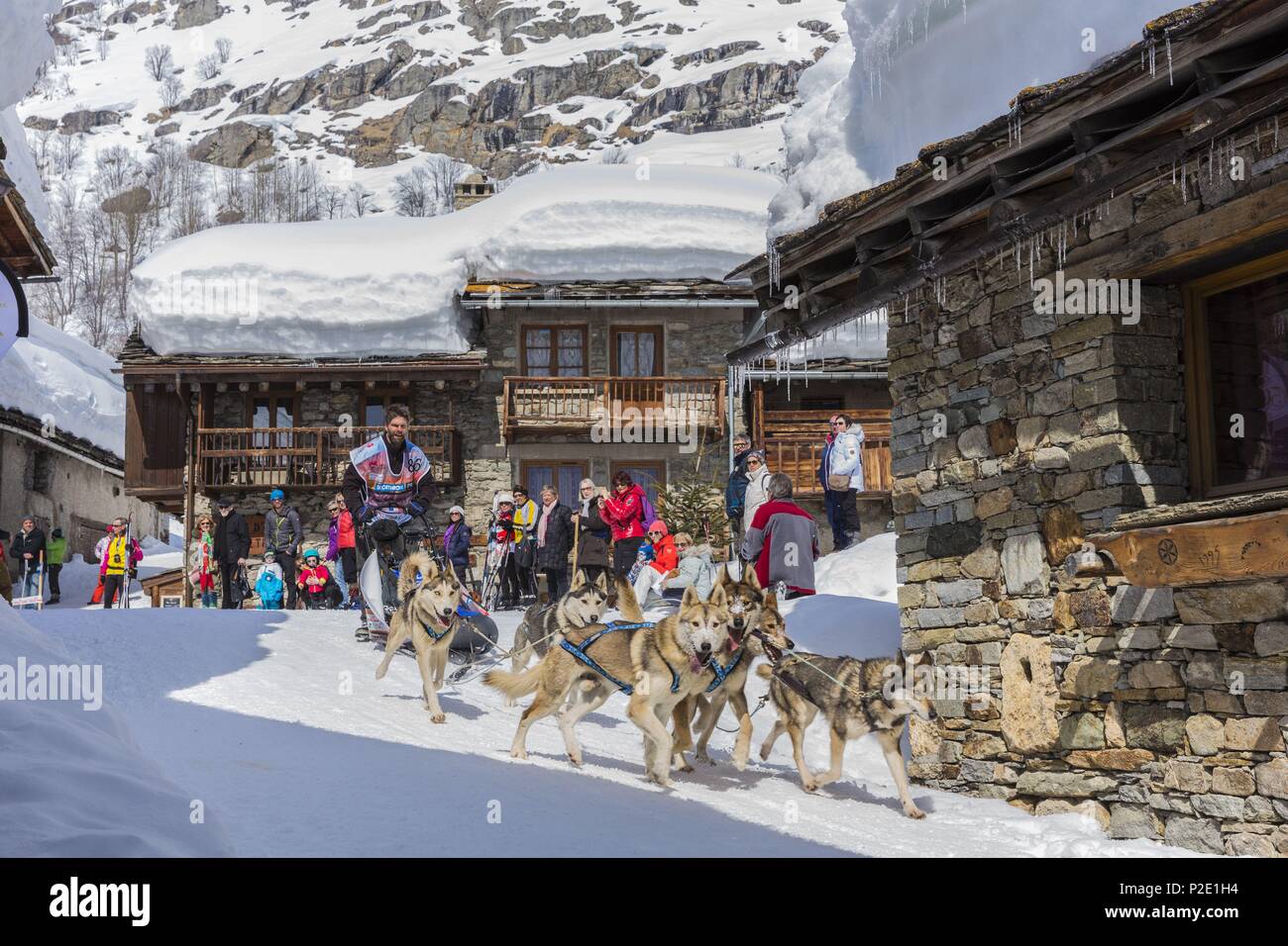 Francia, Savoie, Parco Nazionale della Vanoise, Bonneval sur Arc, etichettati Les Plus Beaux Villages de France (i più bei villaggi di Francia), il villaggio più alto della Haute Maurienne (1850 m), la razza di cani di sled il Lekkarod Foto Stock