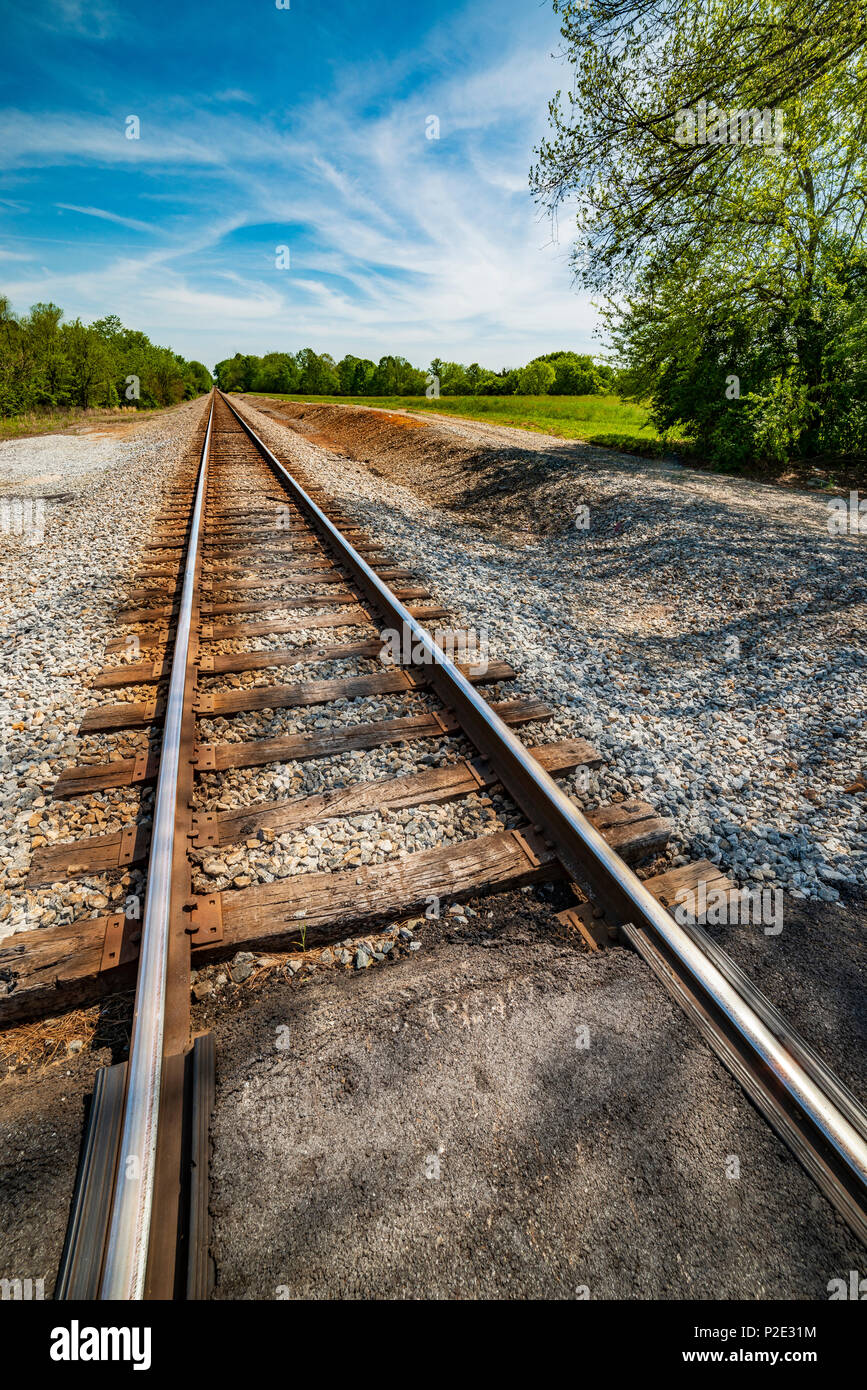 Colpo verticale dei binari della ferrovia scomparendo in lontananza. Foto Stock