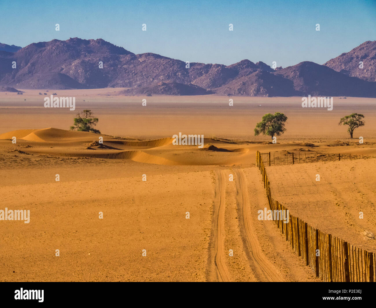 Strada nel deserto lungo una linea di recinzione, Namib Desert Foto Stock