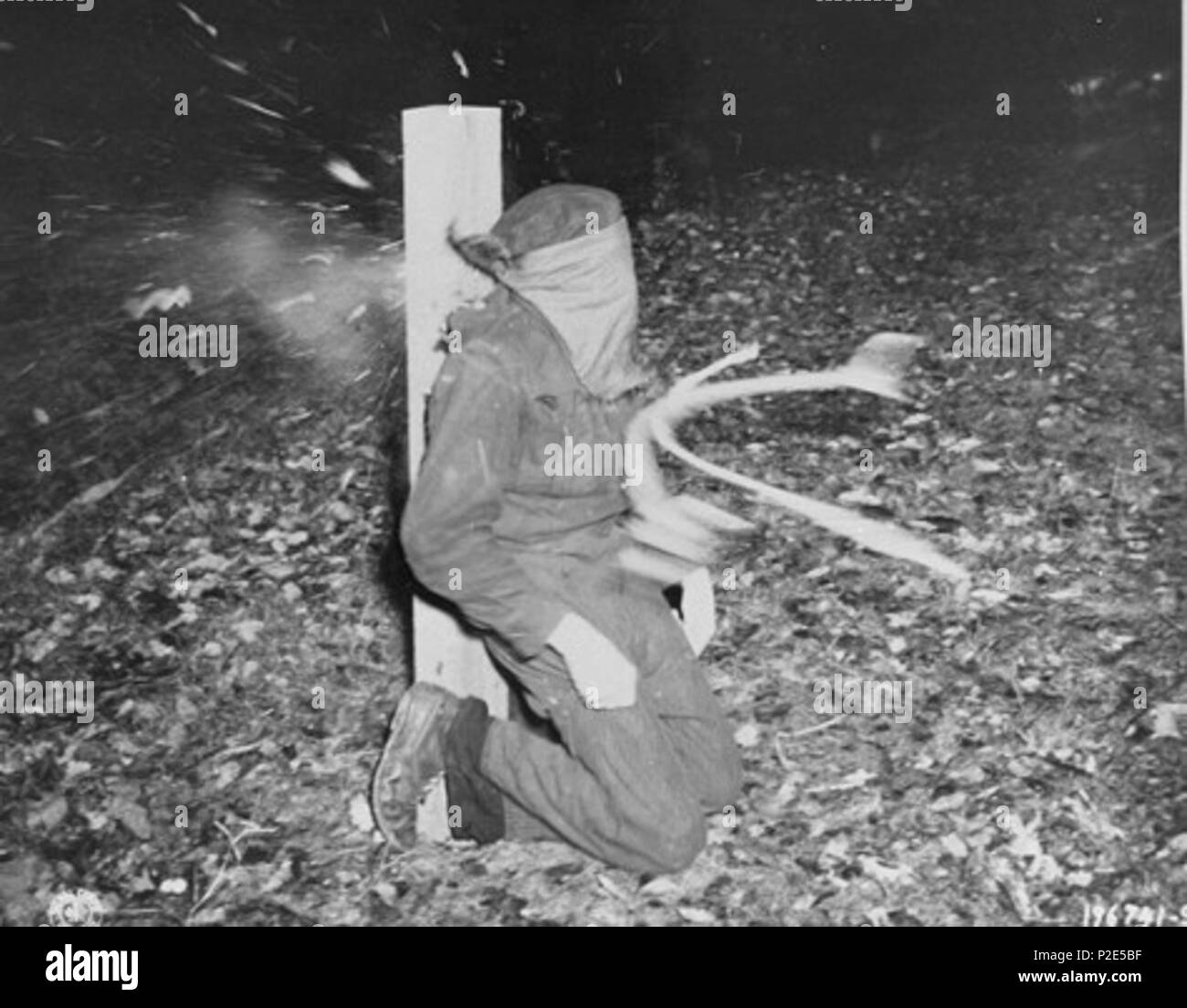 . Inglese: un collaboratore è eseguito dalla polizia francese. Rennes, Ille-et-Vilaine, Francia . 21 Novembre 1944 21 francese esecuzione collaborateur 1944 Foto Stock