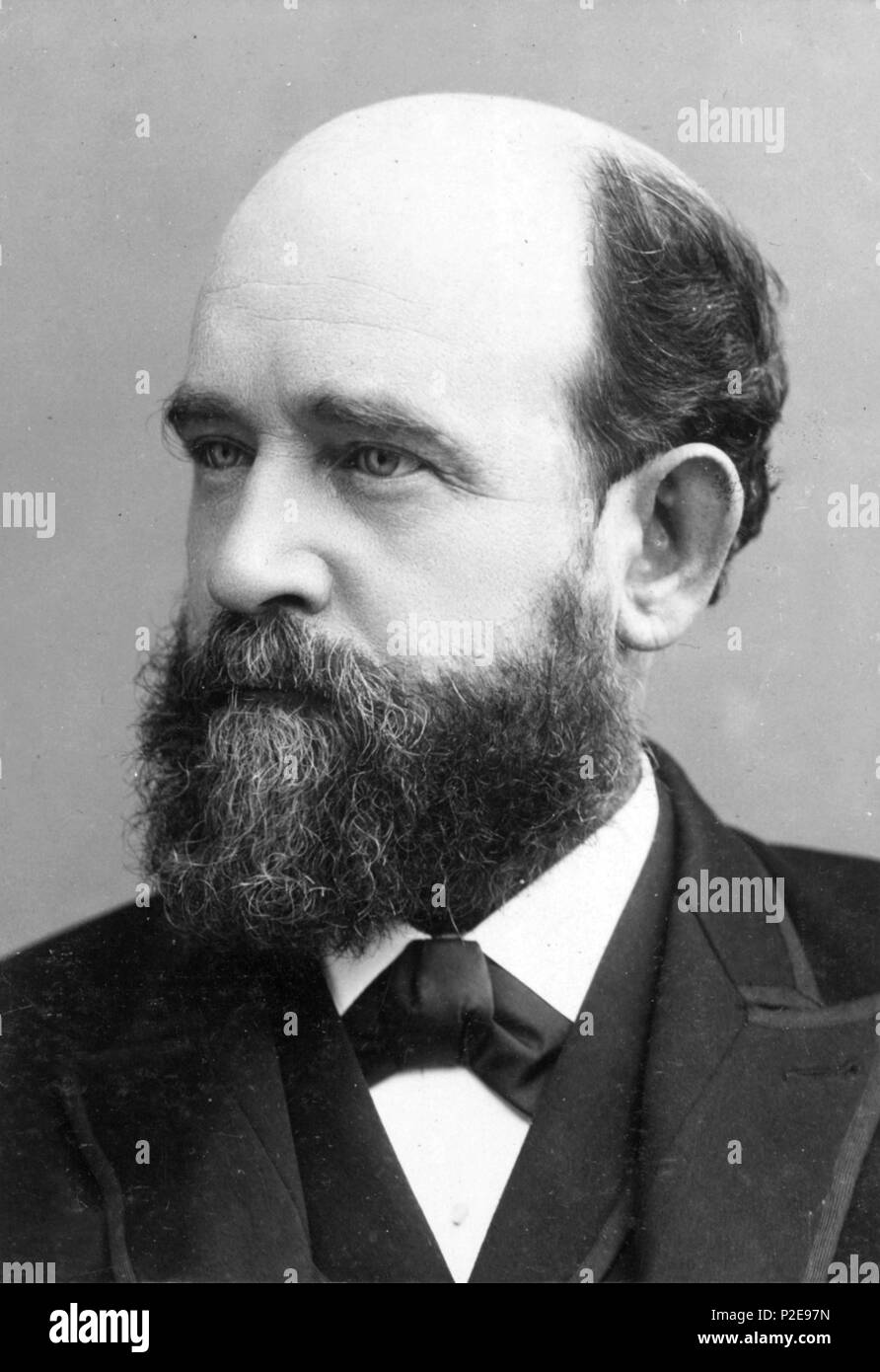 Henry George (1839 - 1897) americana economista politico e giornalista Foto Stock