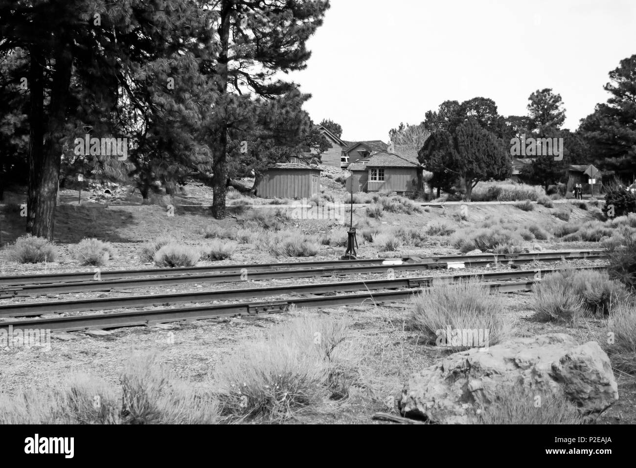 Un vecchio treno switchtrack in una foresta. Foto Stock
