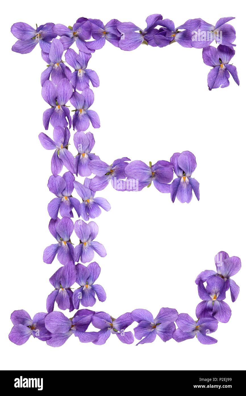 Fiori con la lettera e