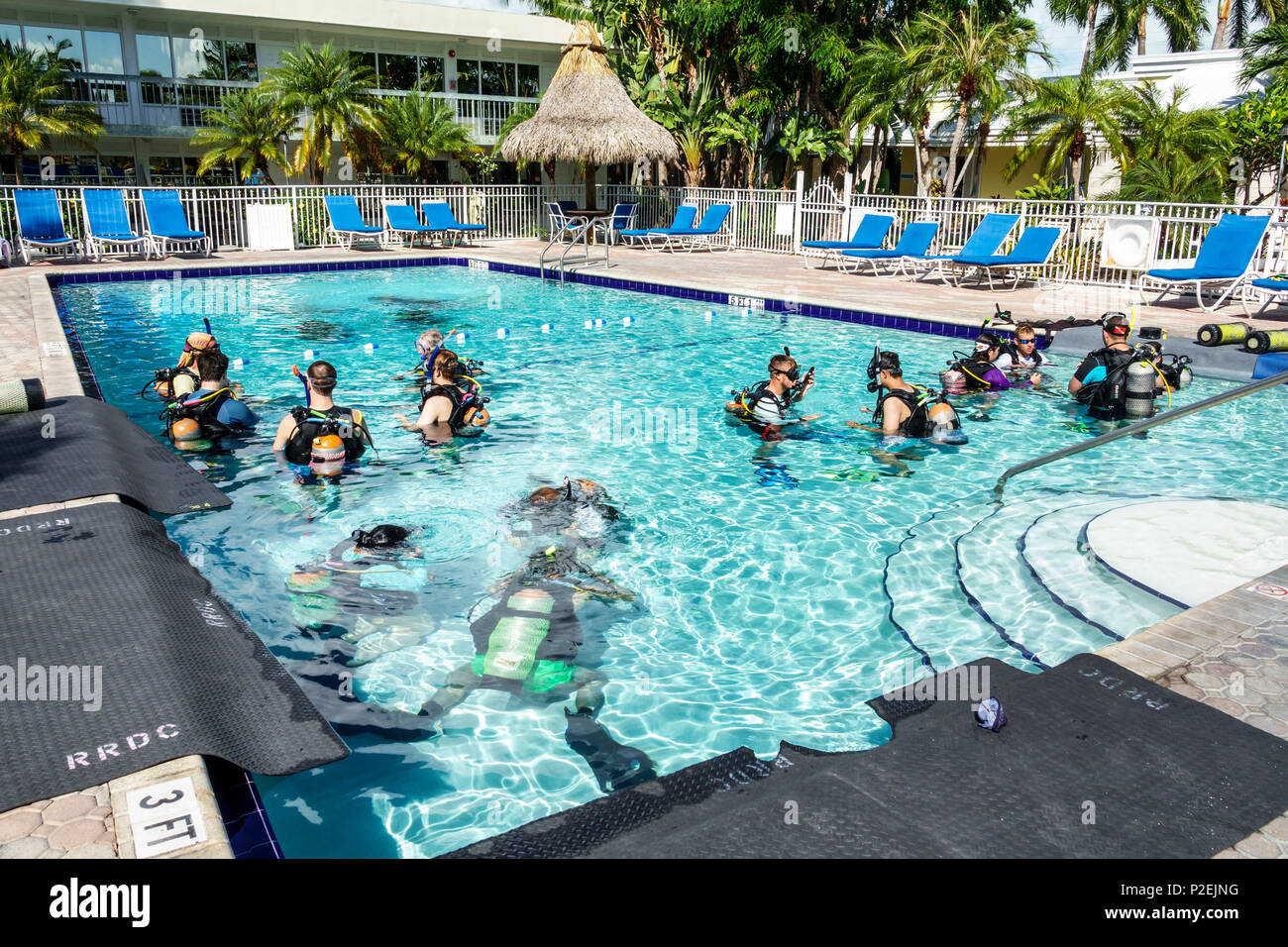 Florida Upper Key Largo Florida Keys,Holiday Inn,hotel,motel,piscina,lezioni di immersioni subacquee,uomo uomo uomo maschio,donna donna femmina,FL170818028 Foto Stock