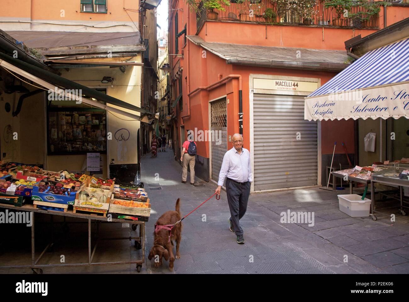 In Italia, la Liguria, geni, vecchio uomo che cammina il suo cane in un vicolo della città medievale Foto Stock