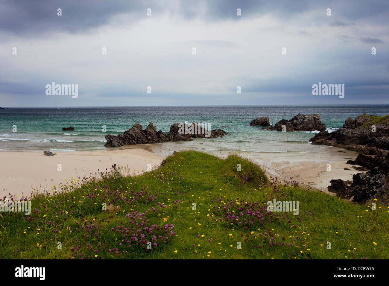 Spiaggia e sabbia, scogliere, estate, erba, altopiani, costa, SCOZIA Foto Stock