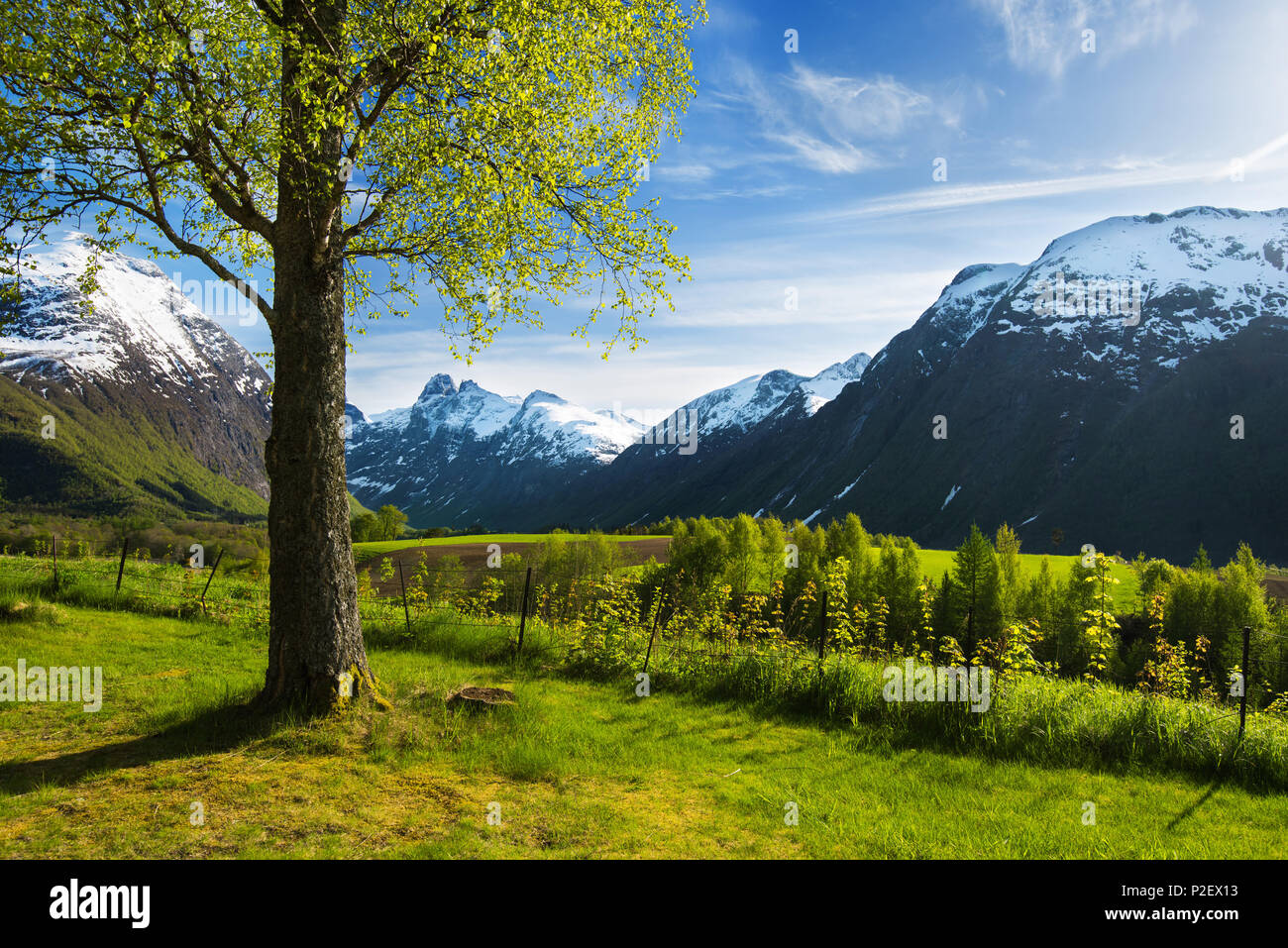 La molla e la valle, prati, visualizzare Romsdal, Norvegia, Europa Foto Stock
