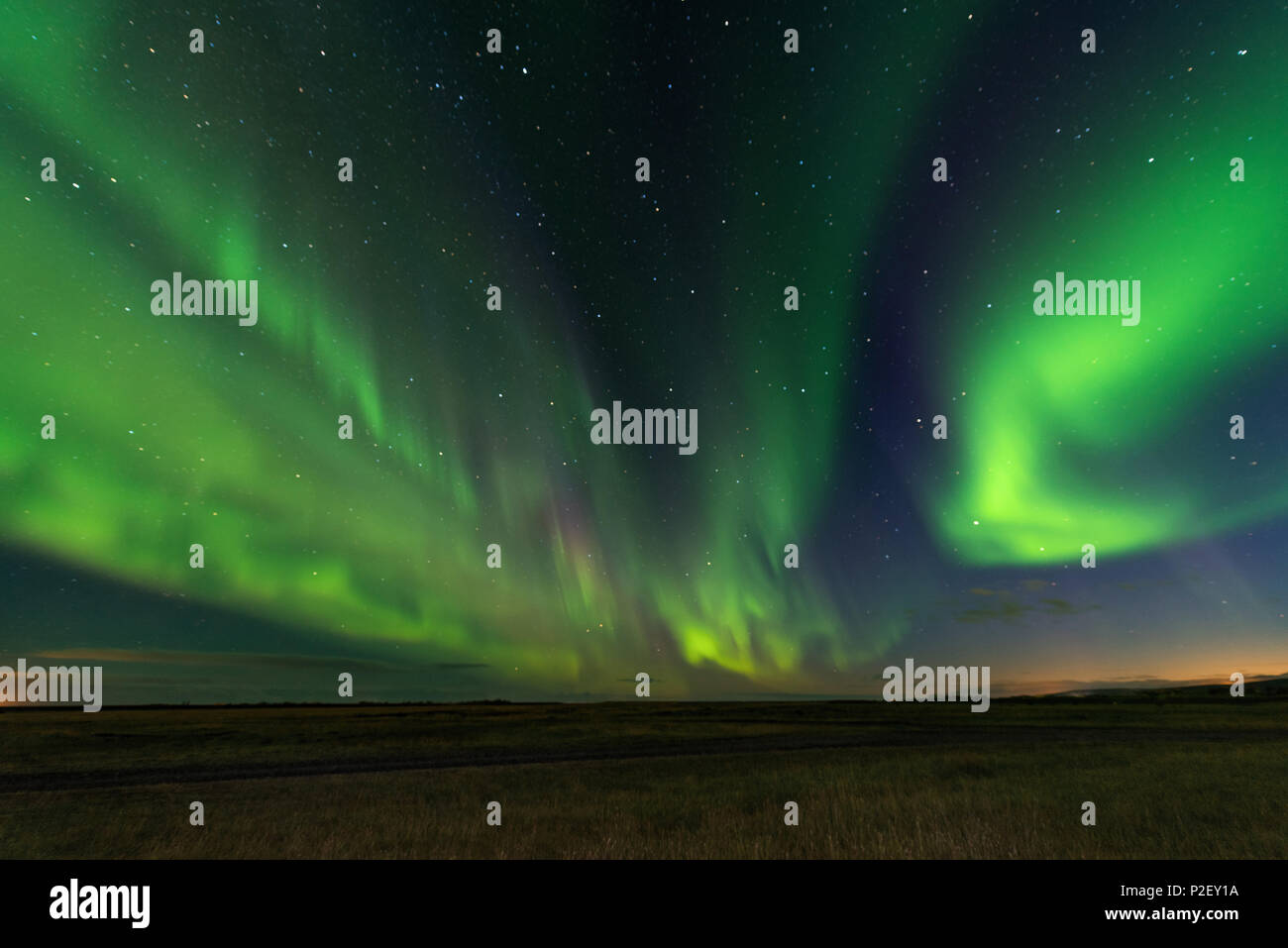 Aurora Boreale, luci del nord, di notte, Sky, stelle, Islanda, Europa Foto Stock