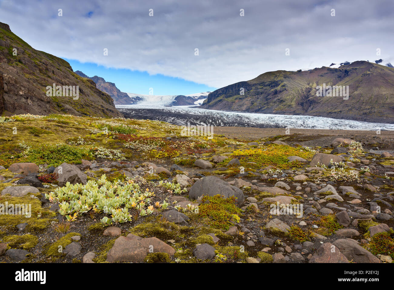 Glacier, montagne, lingua del ghiacciaio, Skaftafelljoekull, Islanda, Europa Foto Stock