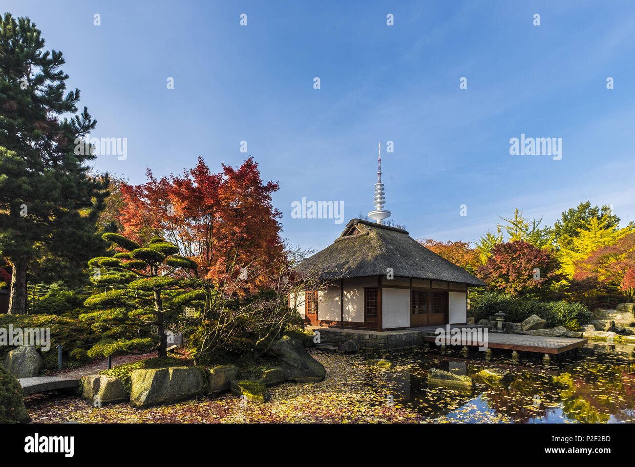 Autunno umore nel parco Planten und Bloomen, Amburgo, Germania settentrionale, Germania Foto Stock