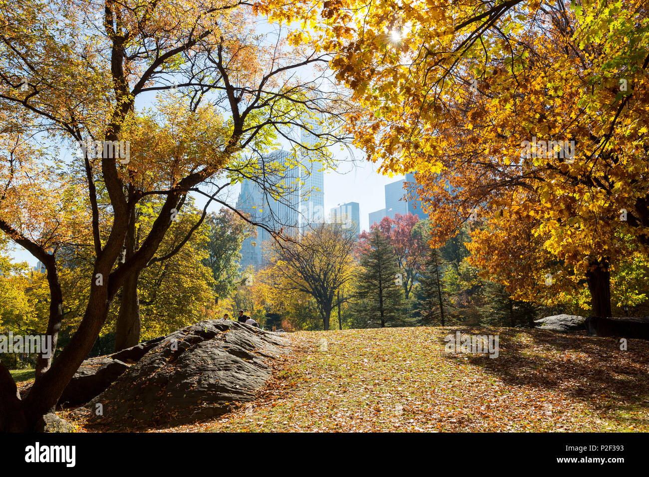 Autunno a Central Park e colorati di alberi e paesaggio, estate indiana, skyline in background, Manhattan, New York City, STATI UNITI D'AMERICA, Foto Stock