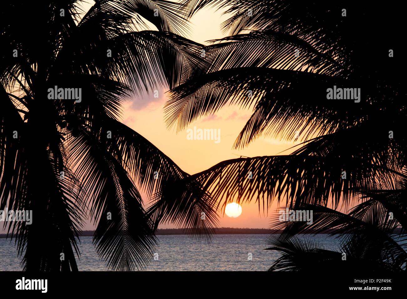 Bahamas, Andros isola, a sud, Andros Tiamo Resort Hotel, tramonto Foto Stock