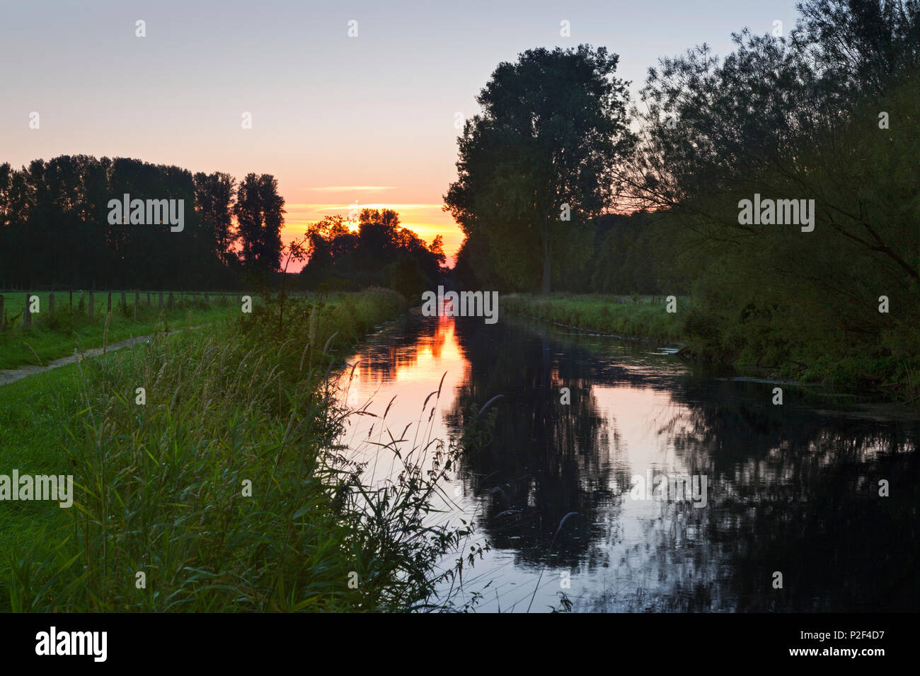 Niers rivolo, vicino a Goch, Basso Reno, Renania settentrionale Vestfalia, Germania Foto Stock