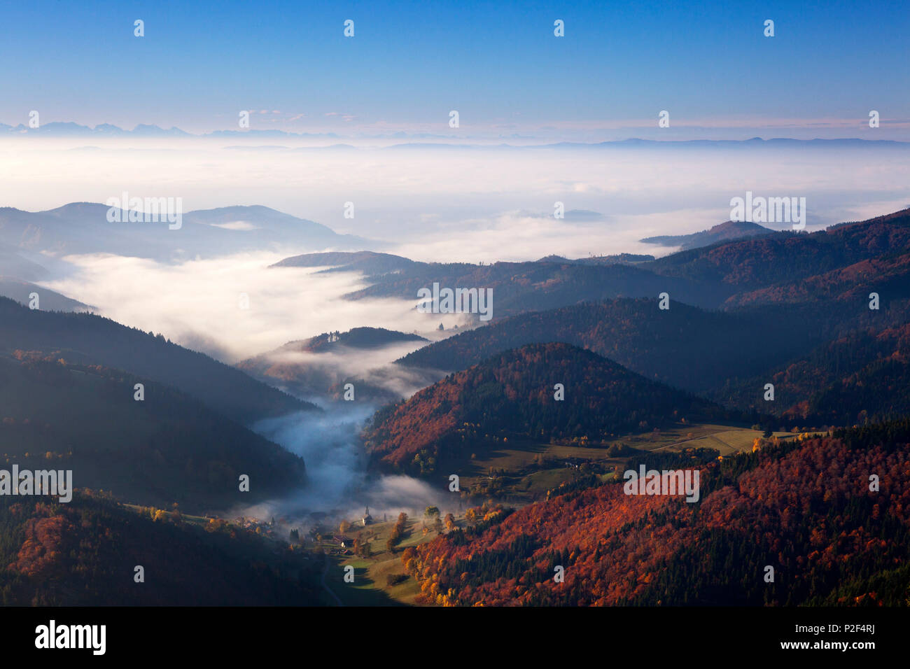 La nebbia oltre Kleines Wiesental, vista da Belchen verso le Alpi, Foresta Nera, Baden-Wuerttemberg, Germania Foto Stock