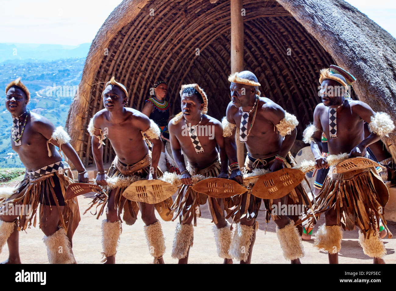 Ballerini Zulu effettuando al PheZulu villaggio culturale nella provincia di KwaZulu-Natal Foto Stock