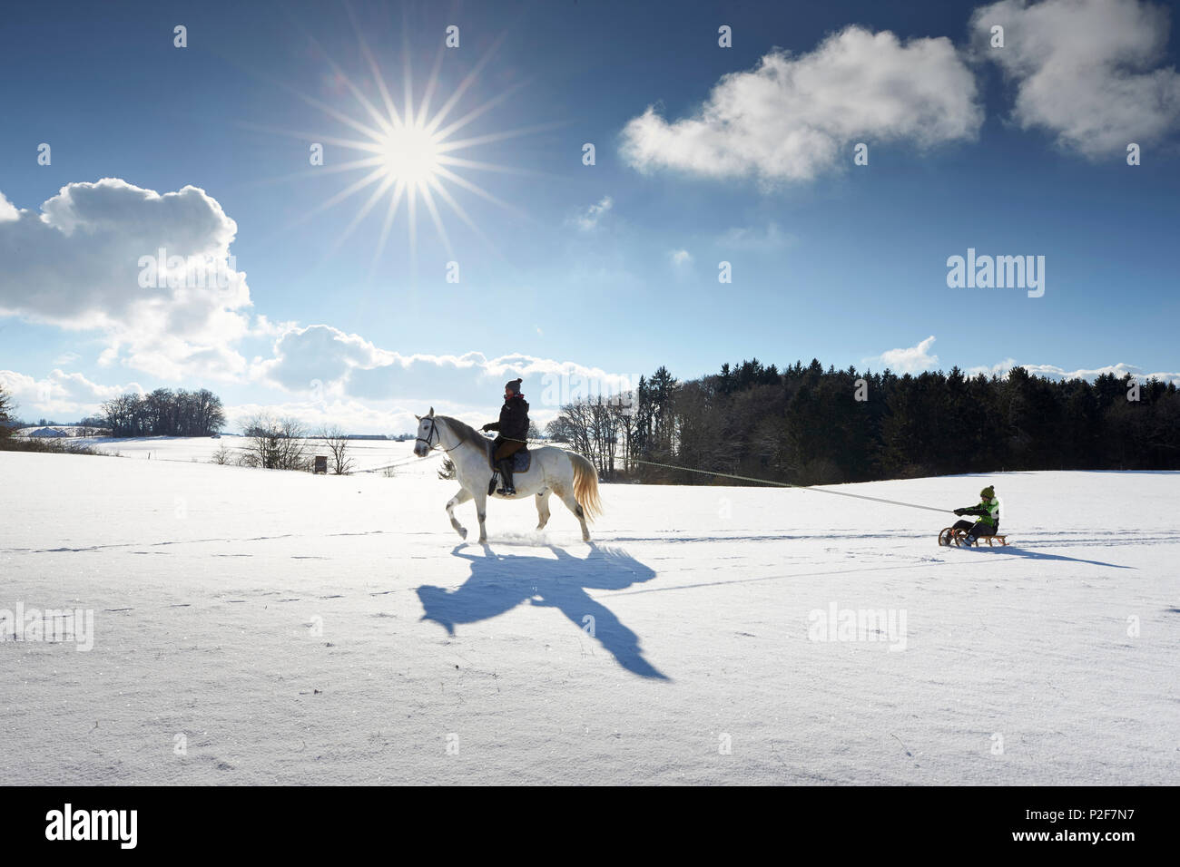 Madre sul cavallo tirando i bambini sulla slitta, Buchensee, Muensing, Baviera Germania Foto Stock