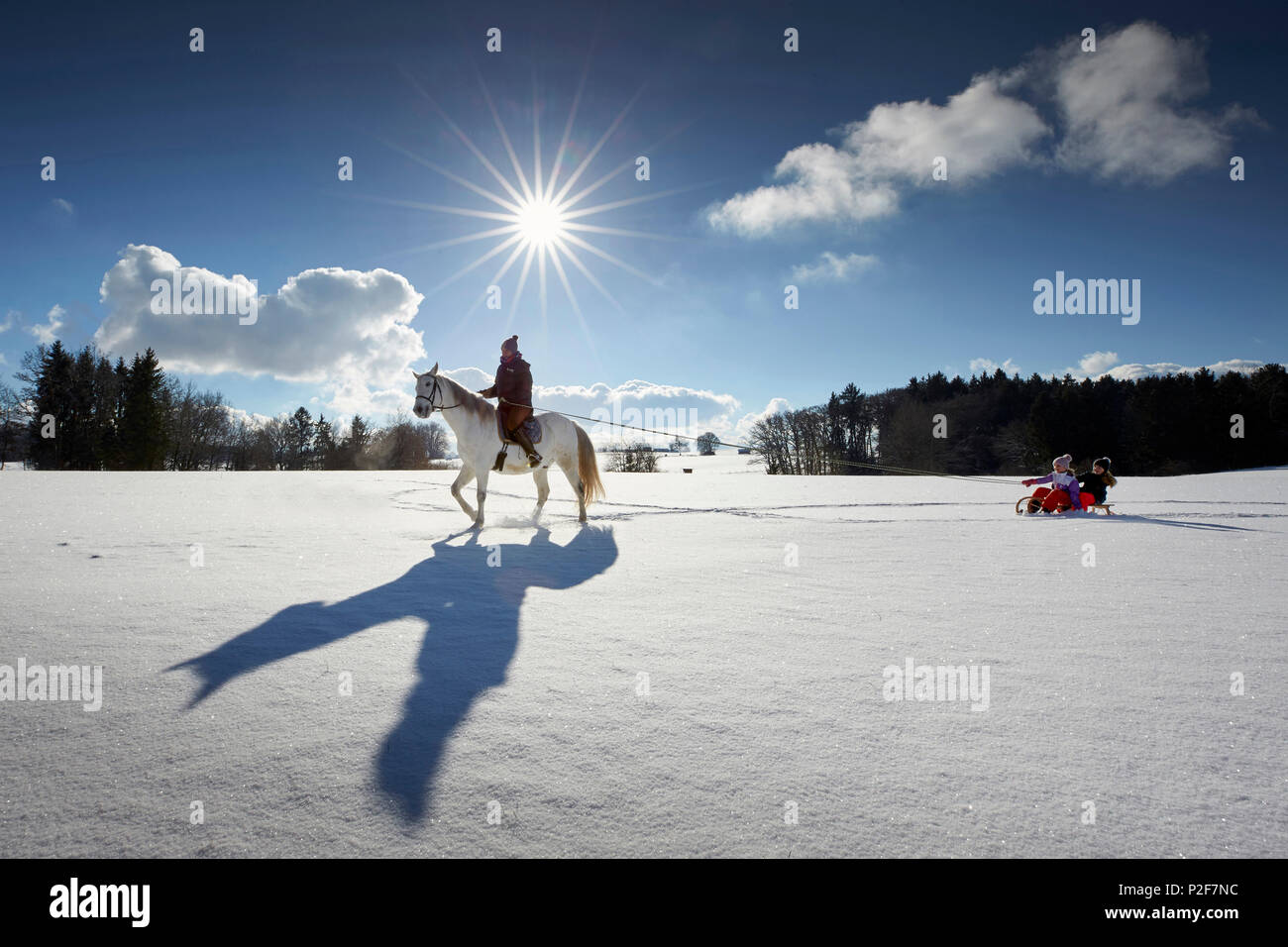 Madre sul cavallo tirando i bambini sulla slitta, Buchensee, Muensing, Baviera Germania Foto Stock