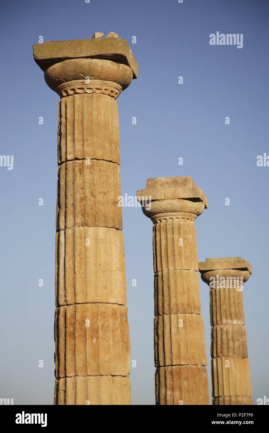 Spagna - Catalogna - Baix Empordá (distretto) - Gerona. L'Escala; ruinas de Ampurias / d'Empúries; columnas romanas. Foto Stock