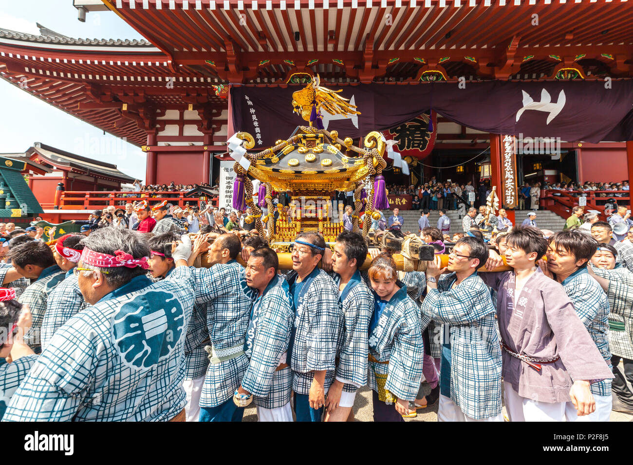 Giapponese indossa uno yukata portante santuario portatile durante il Festival Sanja davanti al Tempio di Senso-ji, Asakusa, Tokyo, Giappone Foto Stock