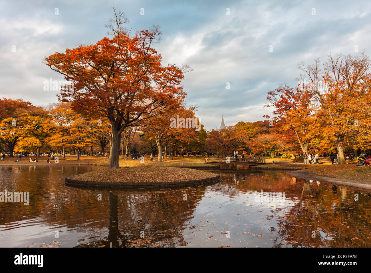 Intorno a un laghetto di Yoyogi Park in autunno, Shibuya, Tokyo, Giappone Foto Stock