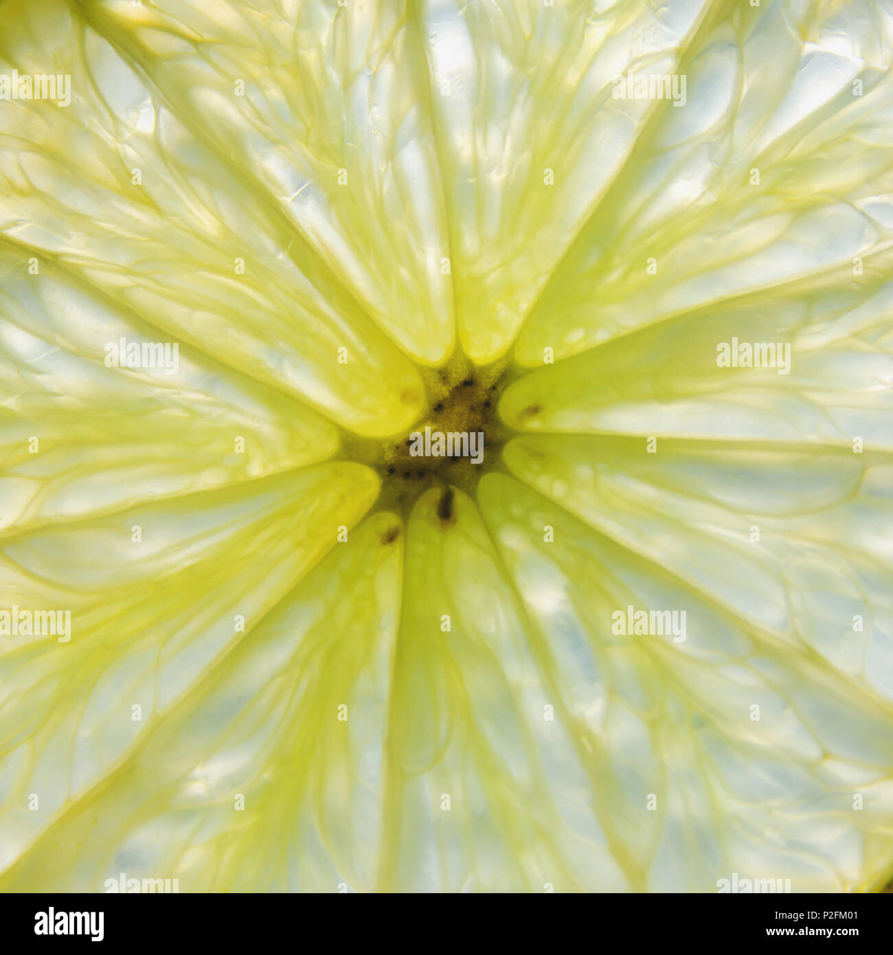 Macro di limone giallo, fresche fetta di limone e lime aspro e frutta o di agrumi. Foto Stock