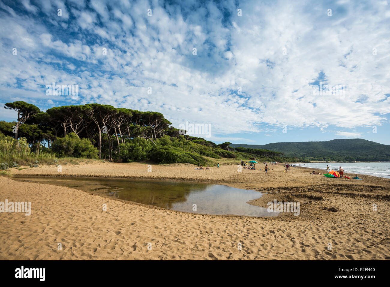 Spiaggia, Populonia, nei pressi di Piombino, provincia di Livorno, Toscana, Italia Foto Stock