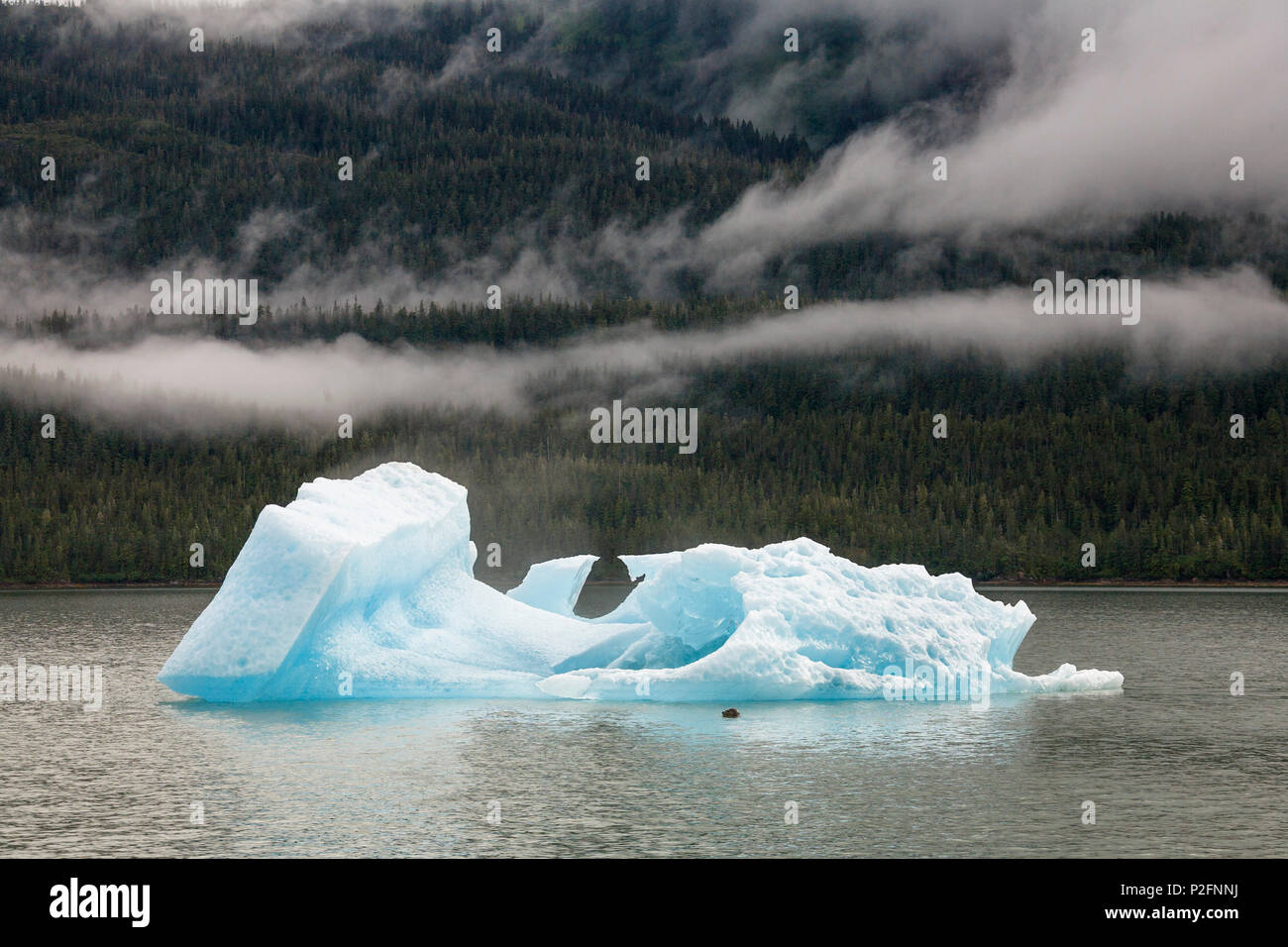 Iceberg nel braccio Endicott, all'interno del passaggio, a sud-est di Alaska, STATI UNITI D'AMERICA Foto Stock