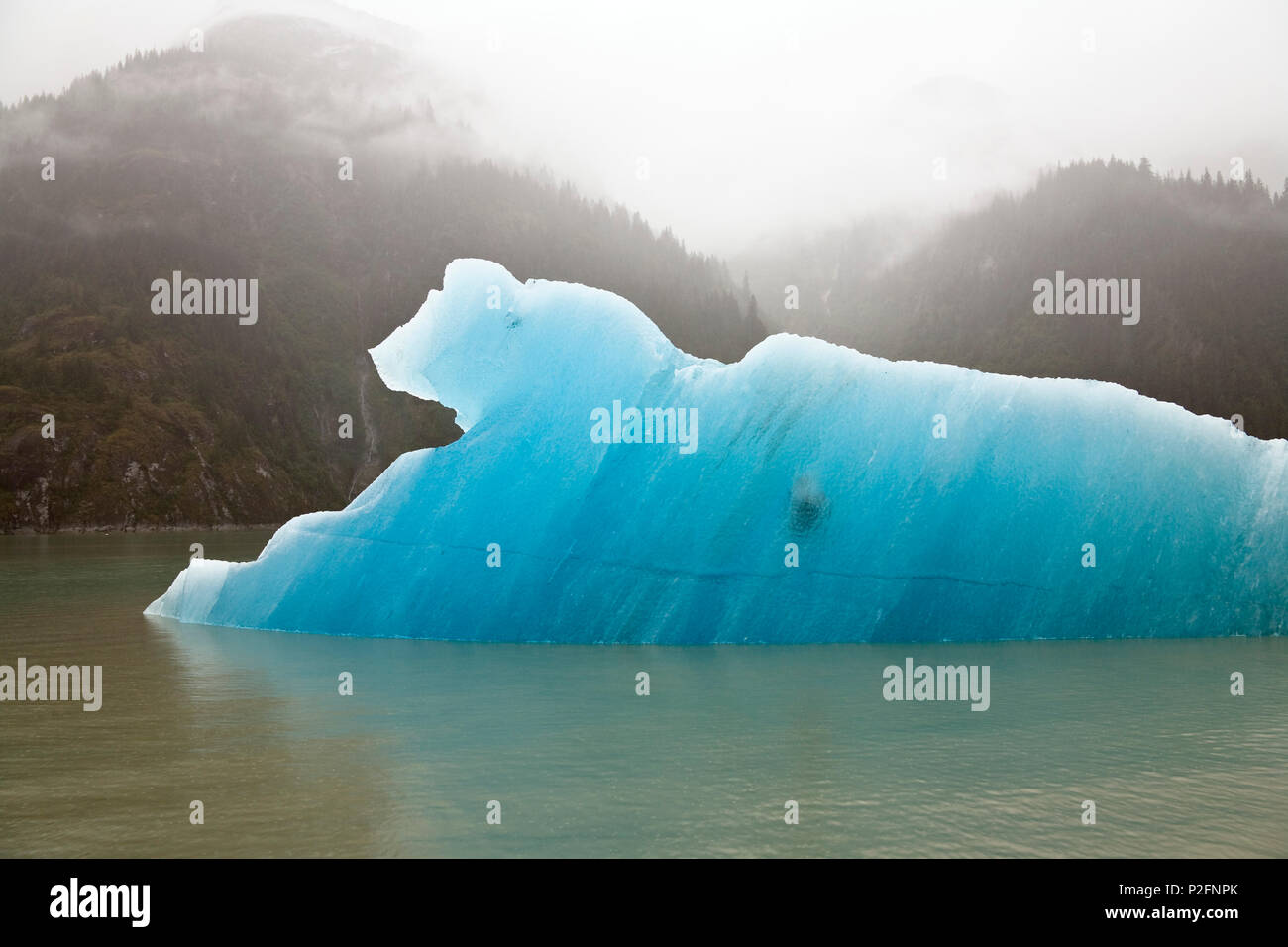Iceberg nel braccio Endicott, all'interno del passaggio, a sud-est di Alaska, STATI UNITI D'AMERICA Foto Stock