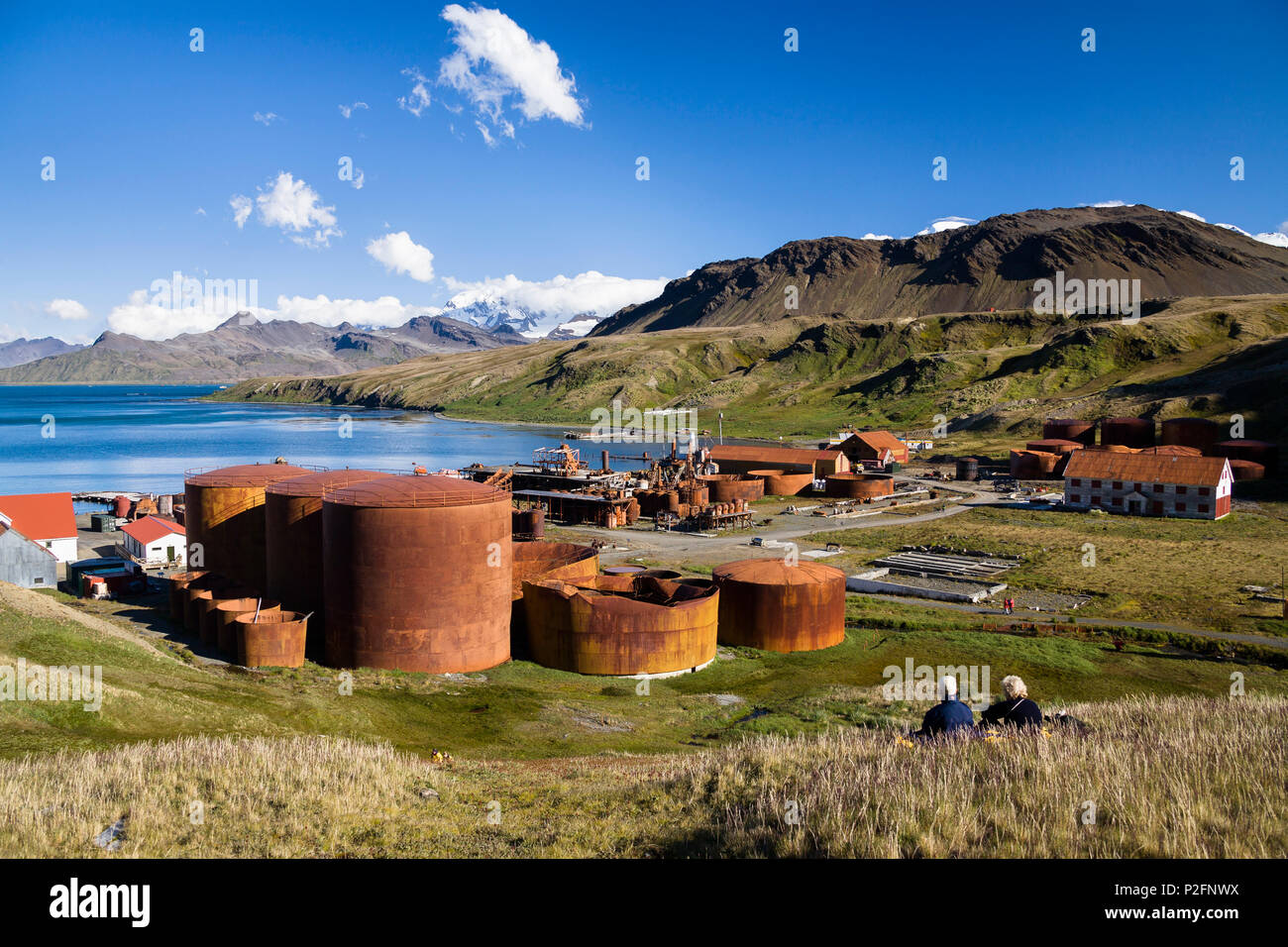 Ex stazione whaler Grytviken, King Edward Cove, Georgia del Sud e isole Sandwich australi, British territorio di oltremare, Subantarct Foto Stock