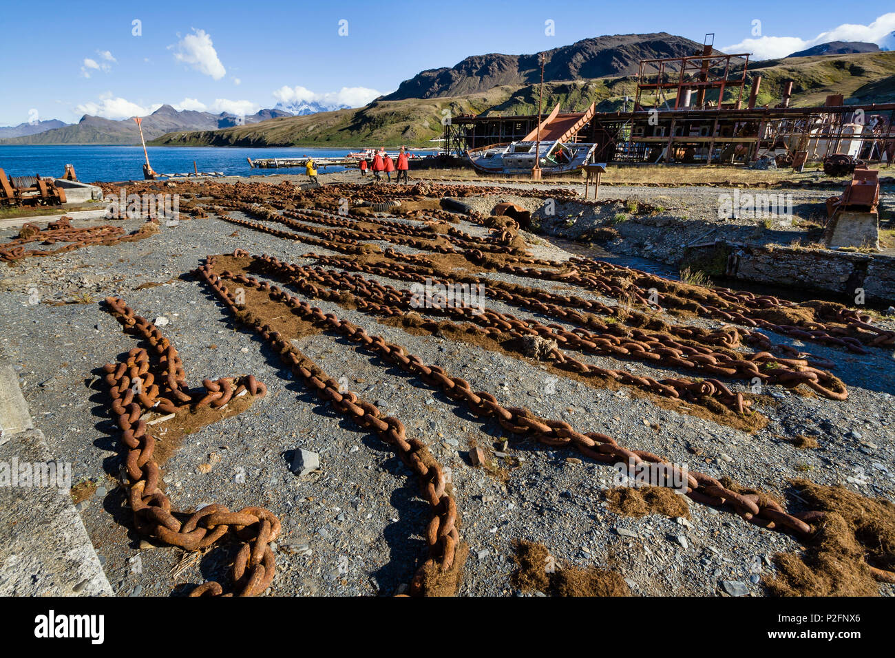 Ex stazione whaler Grytviken, King Edward Cove, Georgia del Sud e isole Sandwich australi, British territorio di oltremare, Subantarct Foto Stock