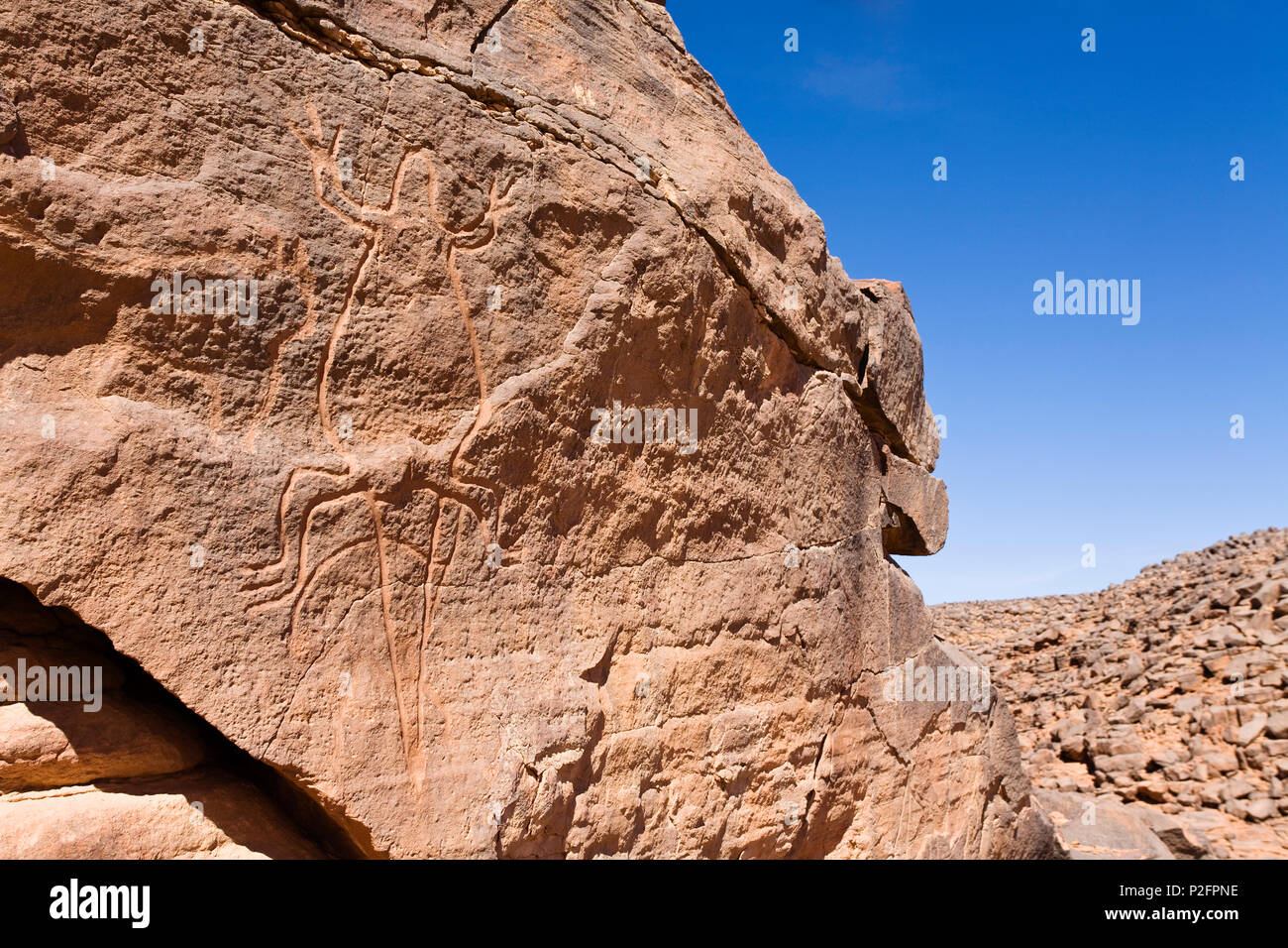 Incisioni rupestri di una lucertola a Wadi Mathendous, Wadi Barjuj, deserto pietroso, Libia, sahara Africa del Nord Foto Stock