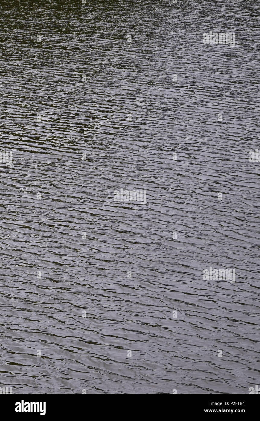 La consistenza del fiume scuro acqua sotto l'influenza del vento, impresso in prospettiva. L'immagine verticale Foto Stock