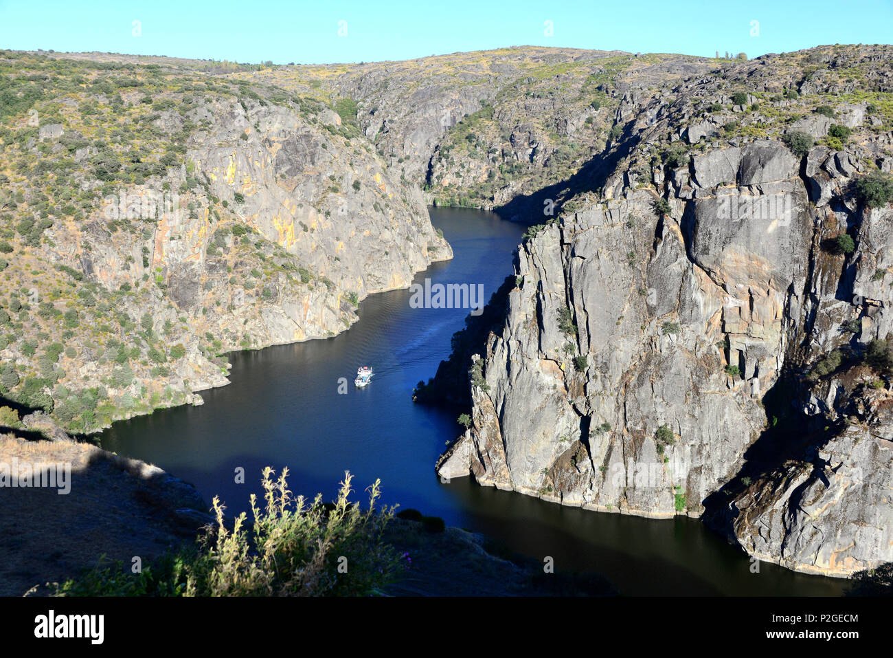 Douroschlucht vicino a Miranda do Douro, il Parque Natural do Duoro International, Tras-os-Montes, Northeast-Portugal, Portogallo Foto Stock