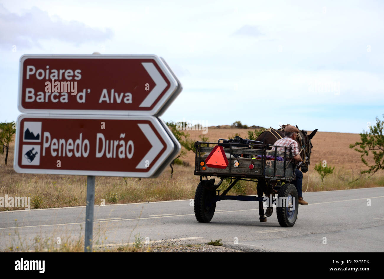 Uomo e asino carrello, im Parque Natural do Duoro International, Tras-os-Montes, Northeast-Portugal, Portogallo Foto Stock