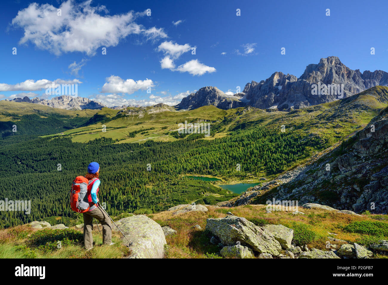 Donna che guarda verso il lago di Colbricon con pala gamma in background, Trans-Lagorai, Lagorai, Dolomiti, patrimonio mondiale Herita Foto Stock