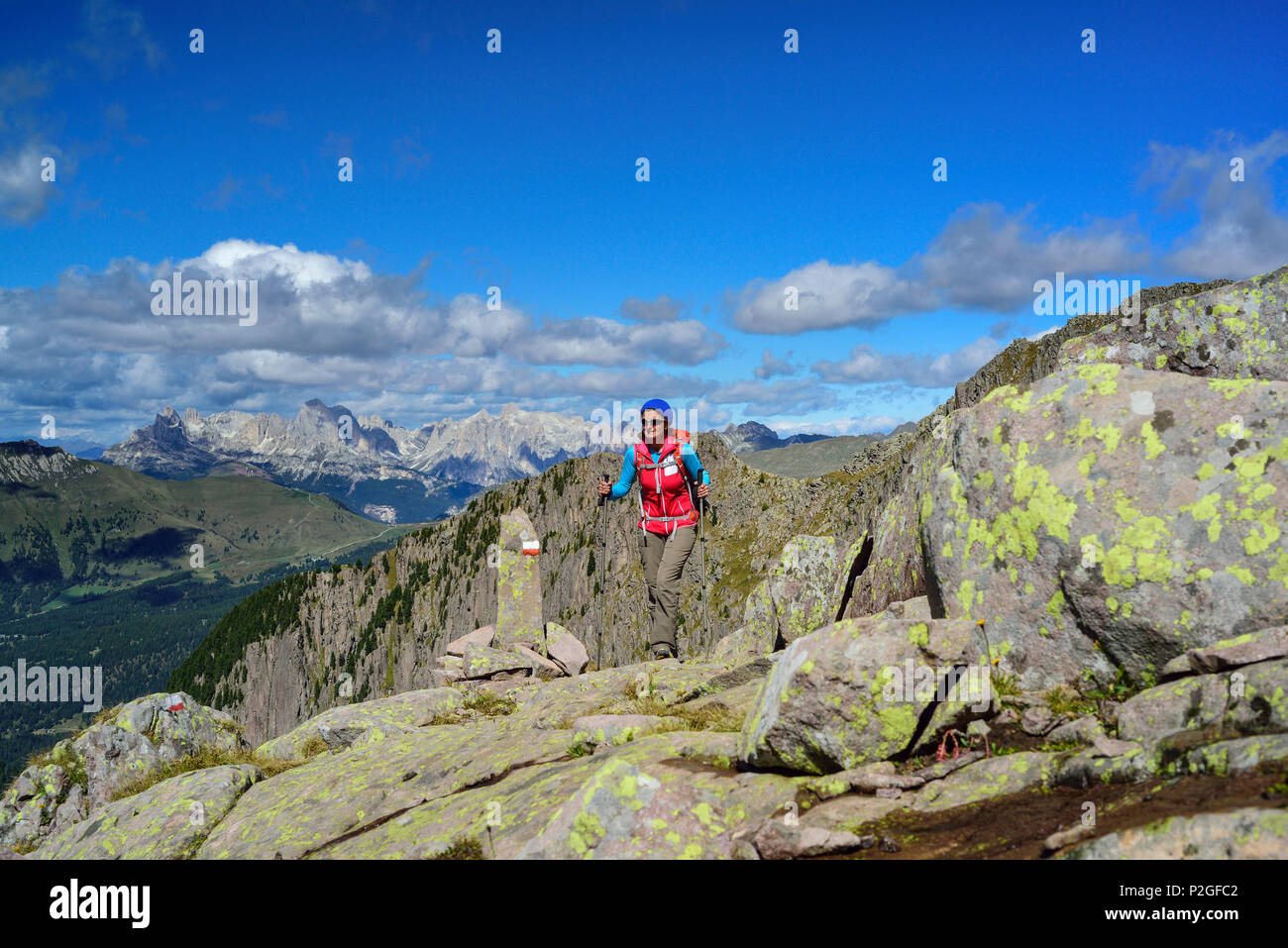 Donna che cammina sul sentiero con gamma Rosengarten in background, Trans-Lagorai, Lagorai, Dolomiti, patrimonio mondiale dell UNESCO Foto Stock