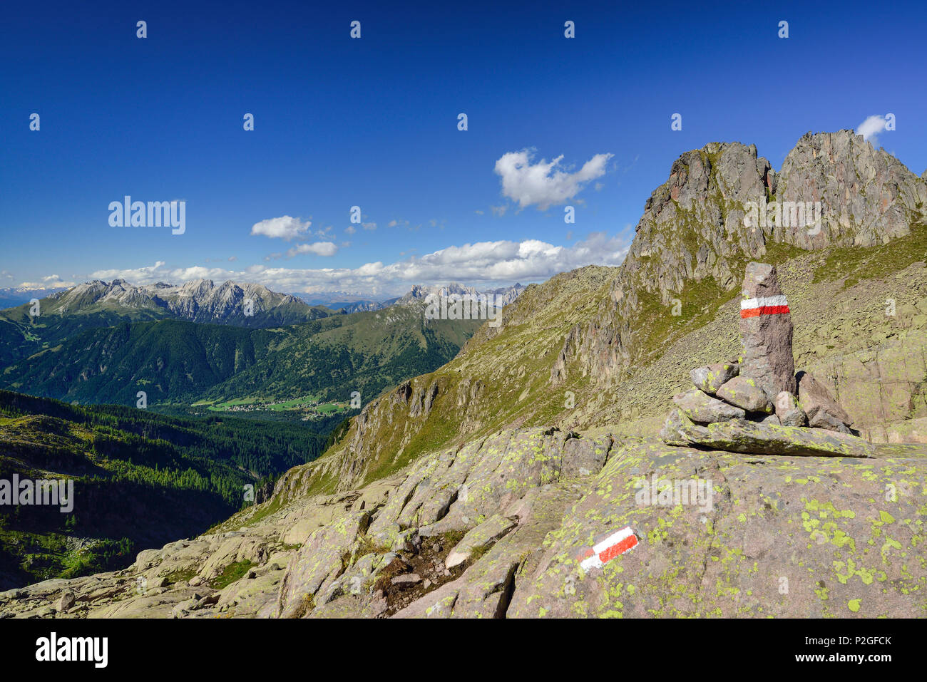Percorso con segnavia e Latemar gamma in background, Trans-Lagorai, Lagorai, Dolomiti, patrimonio mondiale dell UNESCO Foto Stock