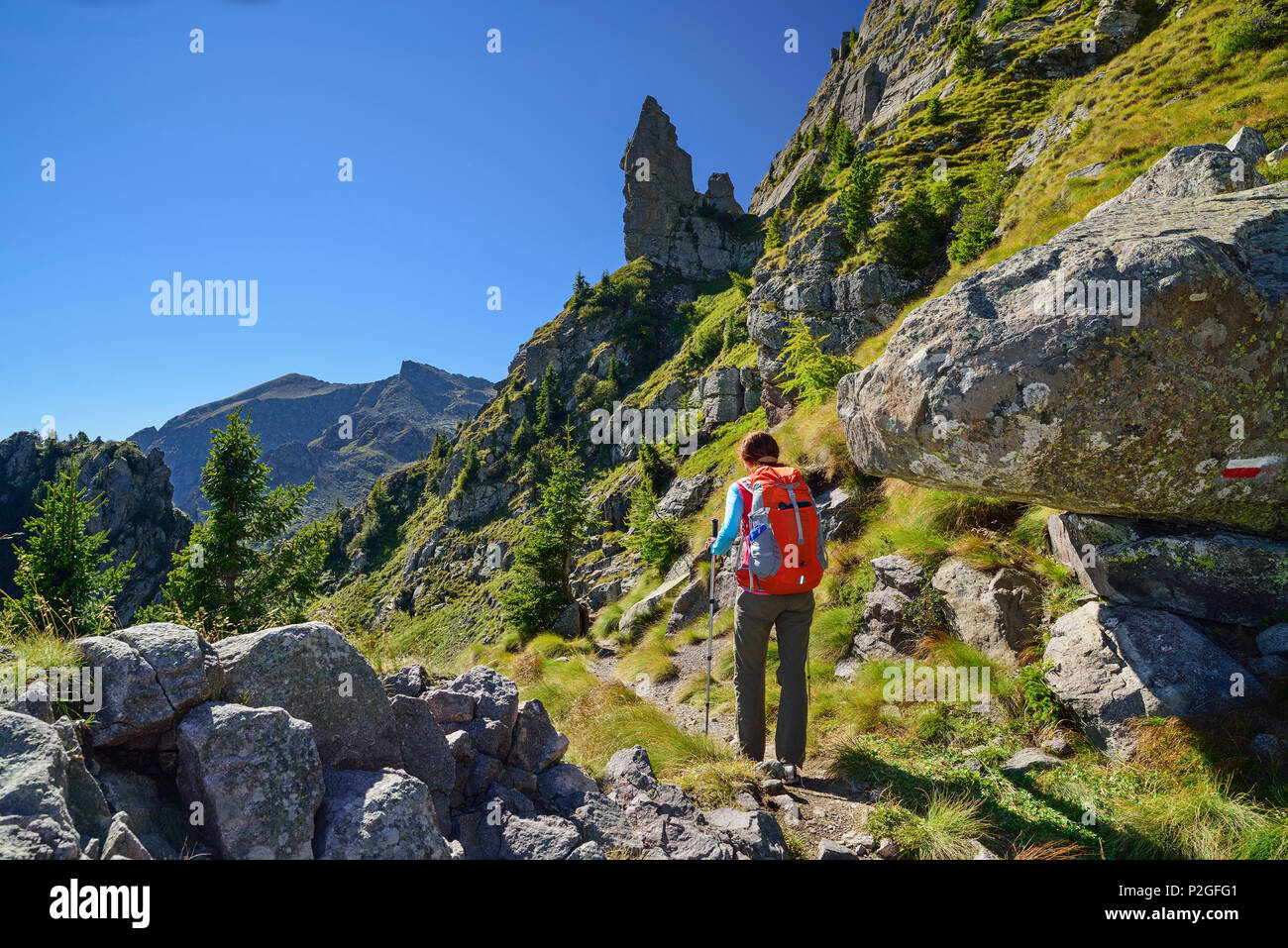 Donna Escursioni sul cammino verso la guglia di roccia, Trans-Lagorai, Lagorai, Dolomiti, patrimonio mondiale dell UNESCO Dolomiti Trentino Foto Stock