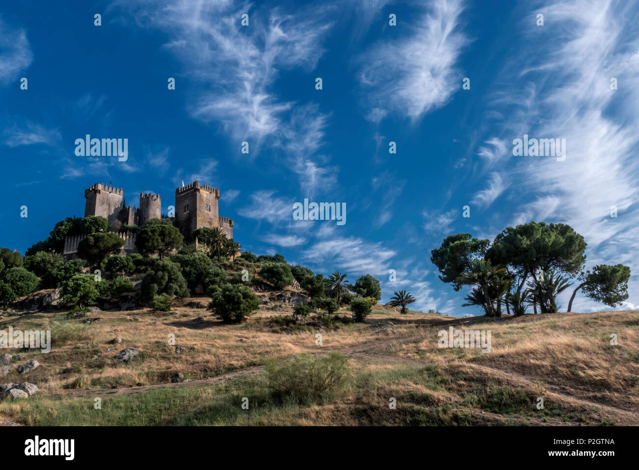 Castello di Almodovar del Rio, è una fortezza di origine musulmana, era un forte romano e l'edificio attuale ha sicuramente origine berbera, prendere in Al Foto Stock