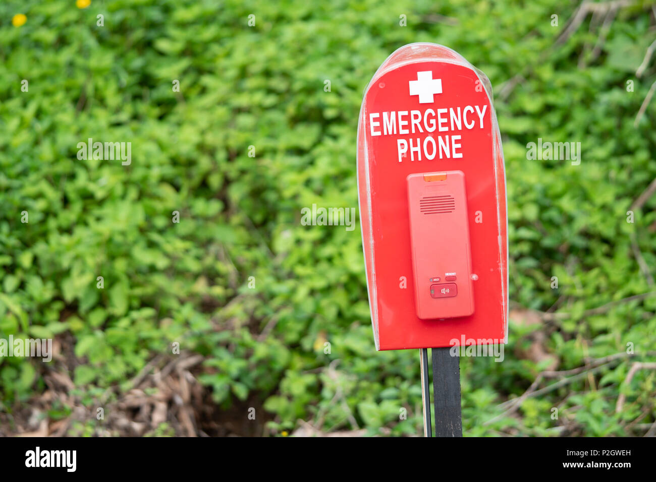 Rosso telefono di emergenza o di sicurezza casella chiamata vicino piscina sullo sfondo della natura Foto Stock