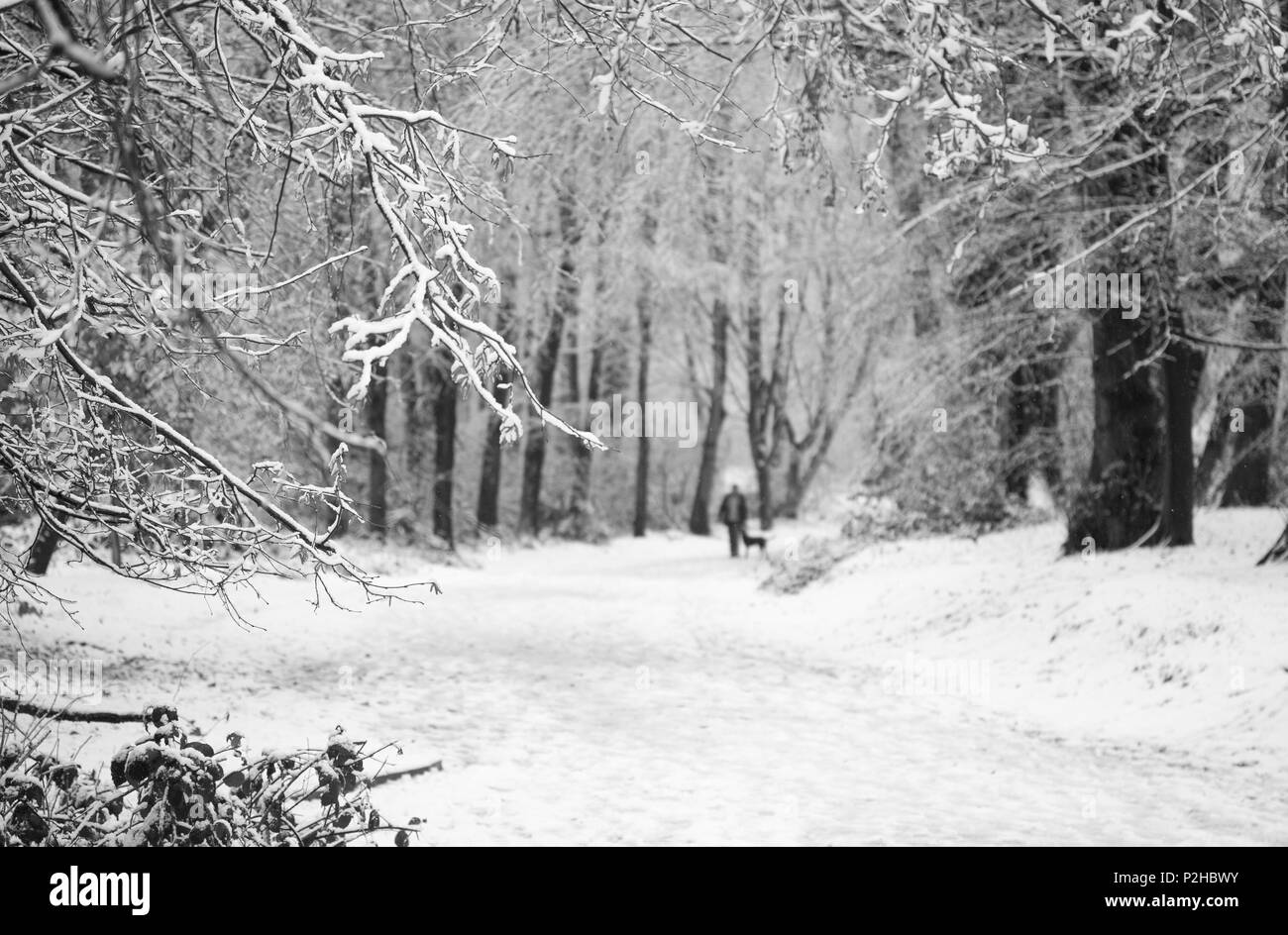 Giornata invernale in Hampstead Foto Stock