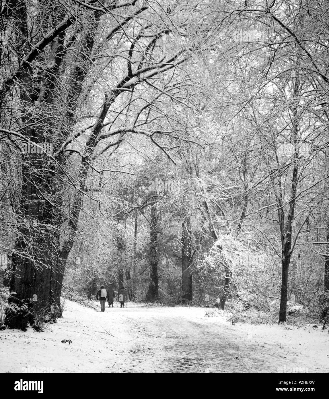 Giornata invernale in Hampstead Foto Stock